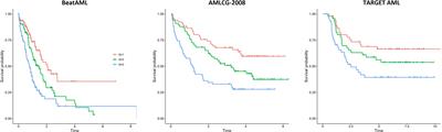Evaluation of the Stellae-123 prognostic <mark class="highlighted">gene expression signature</mark> in acute myeloid leukemia